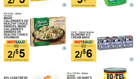 Food Lion 'Orange Bag' Email Ad