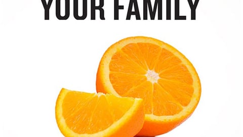 Food Lion 'Orange Bag' Feature