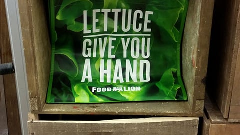 Food Lion 'Nourish Your Neighbors' Sign