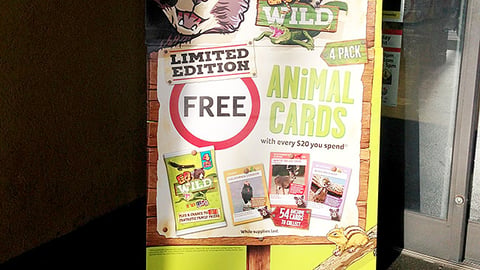 Winn-Dixie 'Go Wild' Standee