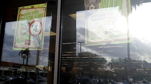 Winn-Dixie 'Go Wild' Window Posters
