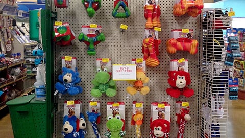 Kong PetSmart 'Spring Into Fun' Endcap Display