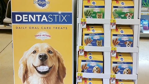 Dentastix 'Springtastic Treats' Pallet Display