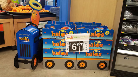 Halos Case Stack
