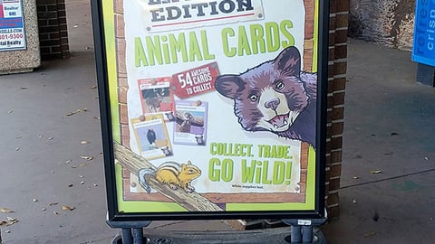 Winn-Dixie 'Animal Cards' Stanchion Sign
