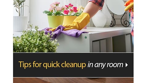 Walmart Clorox 'Spotless for Less' Email Ad