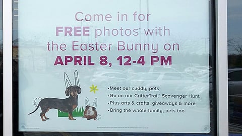 PetSmart 'Photos with the Easter Bunny' Window Poster