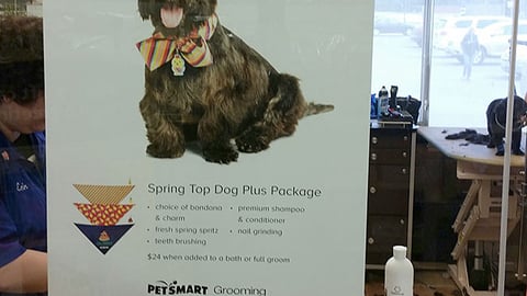 PetSmart 'Fresh Up for Spring' Window Poster