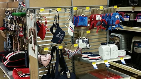ED Ellen DeGeneres Endcap