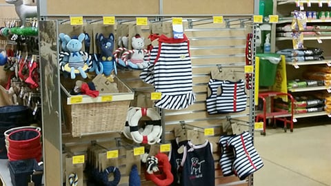ED Ellen DeGeneres Endcap