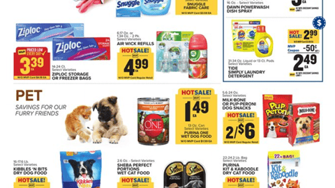 Food Lion P&G brandSaver Feature
