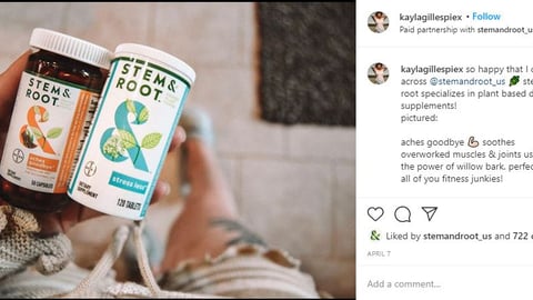 Stem & Root Paid Instagram Influencer Update