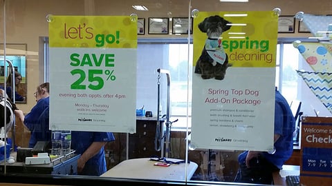 PetSmart Spring Window Posters