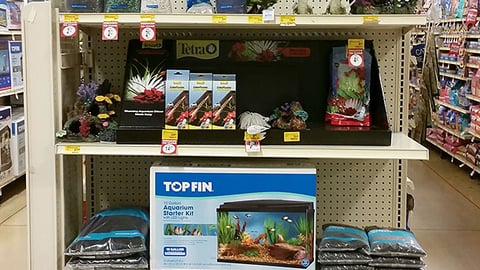 Top Fin 'Spring Splash' Endcap Display