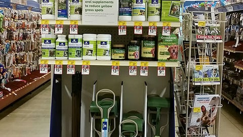 Top Paw 'Let's Go' Endcap Display