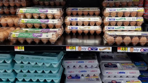 Great Value Organic Eggs