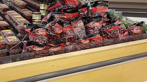 Target 'Fresh Price' Header
