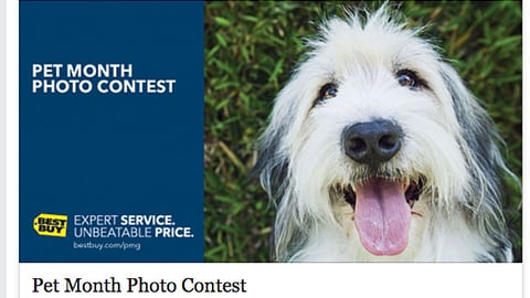 Best Buy 'Pet Month' Facebook Update