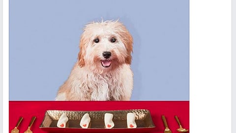 Target 'National Pet Month' Facebook Update