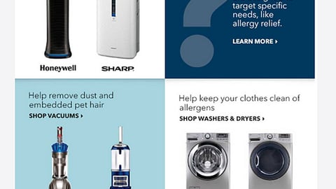 Best Buy 'Allergy Relief' Email