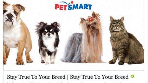 Royal Canin PetSmart 'Stay True to Your Breed' Facebook Update