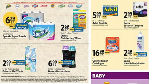 Food Lion 'The Big Spring Clean' Features