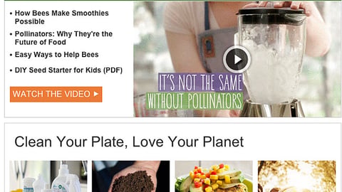 Whole Foods 'Without Pollinators' Email Ad