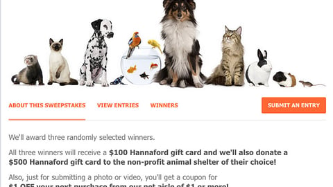 Hannaford 'Cutest Pet' Facebook Page
