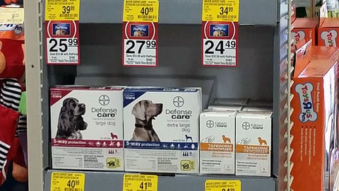 Bayer PetSmart 'Check for Tapeworms' Power Wing