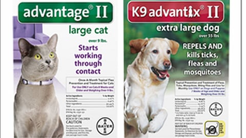 PetSmart Bayer 'Help Protect Pets' Email Ad