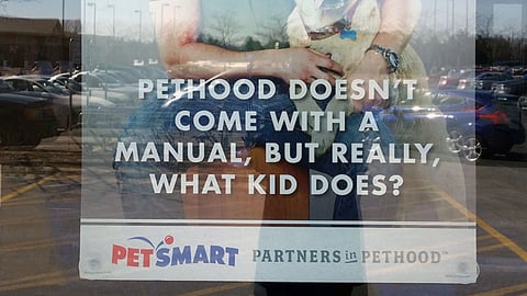 PetSmart 'What Kid Does?' Window Poster