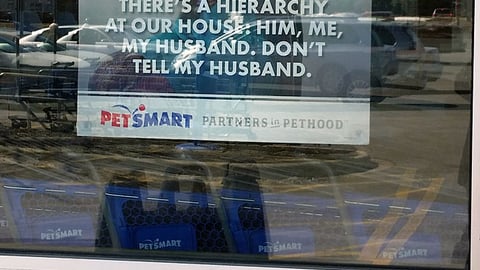 PetSmart 'There's A Hierarchy' Window Poster