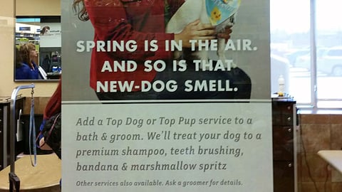 PetSmart 'New-Dog Smell' Window Poster