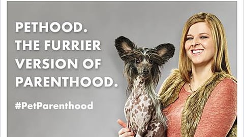 PetSmart 'Partners in Pethood' Facebook Update
