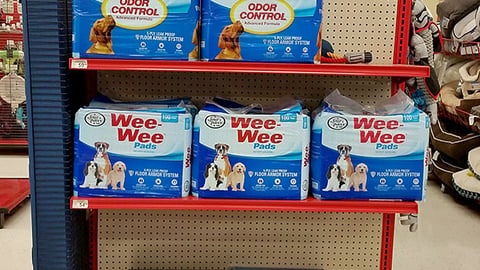 Hill's Science Diet Petco 'Catitude' Endcap Header