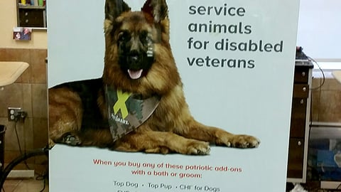 PetSmart 'Service Animals for Disabled Veterans' Window Poster