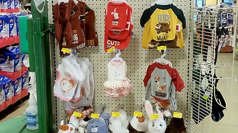 PetSmart 'Chewing Your Shoes' Endcap