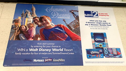 K-C Meijer 'Summer Dreams' Floor Cling