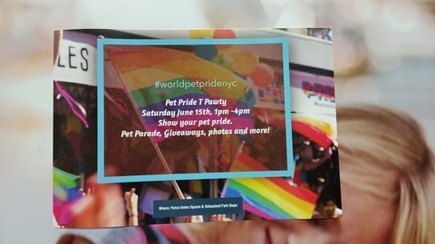 Petco 'Pet Pride T Pawty' Take-One