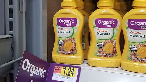 Great Value Organic Mustard