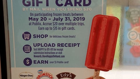 Nestle Publix 'Have Happy on Hand' Freezer Cling