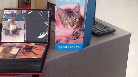 Blue Buffalo Petco 'Find a Cure' Counter Card