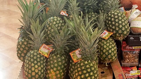 Harris Teeter 'Priced Low on Fresh' Case Stack