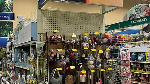PetSmart ED Ellen DeGeneres Cat Collection Endcap