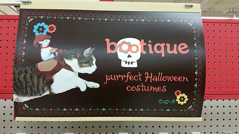 Petco 'Purrfect Halloween Costumes' Endcap Header