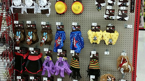 Petco 'Bootique' Endcap Display