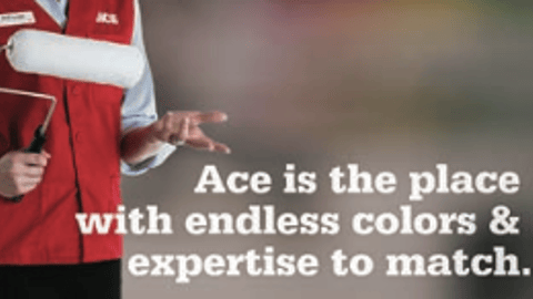 Ace Hardware 'Endless Colors and Expertise' Signage