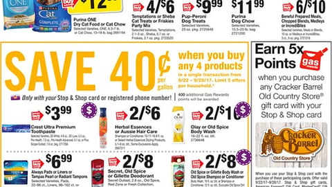 Ahold P&G 'Gas Rewards' Feature