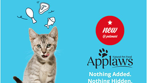 PetSmart Applaws 'Shop Meow' Email