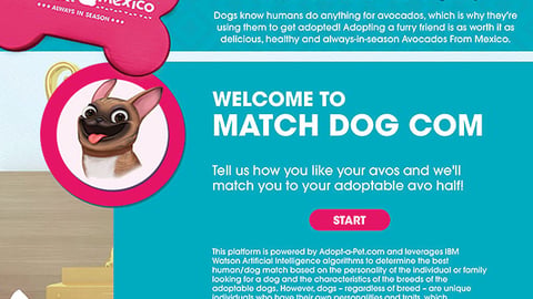 Avocados From Mexico 'Match Dog Com' Microsite